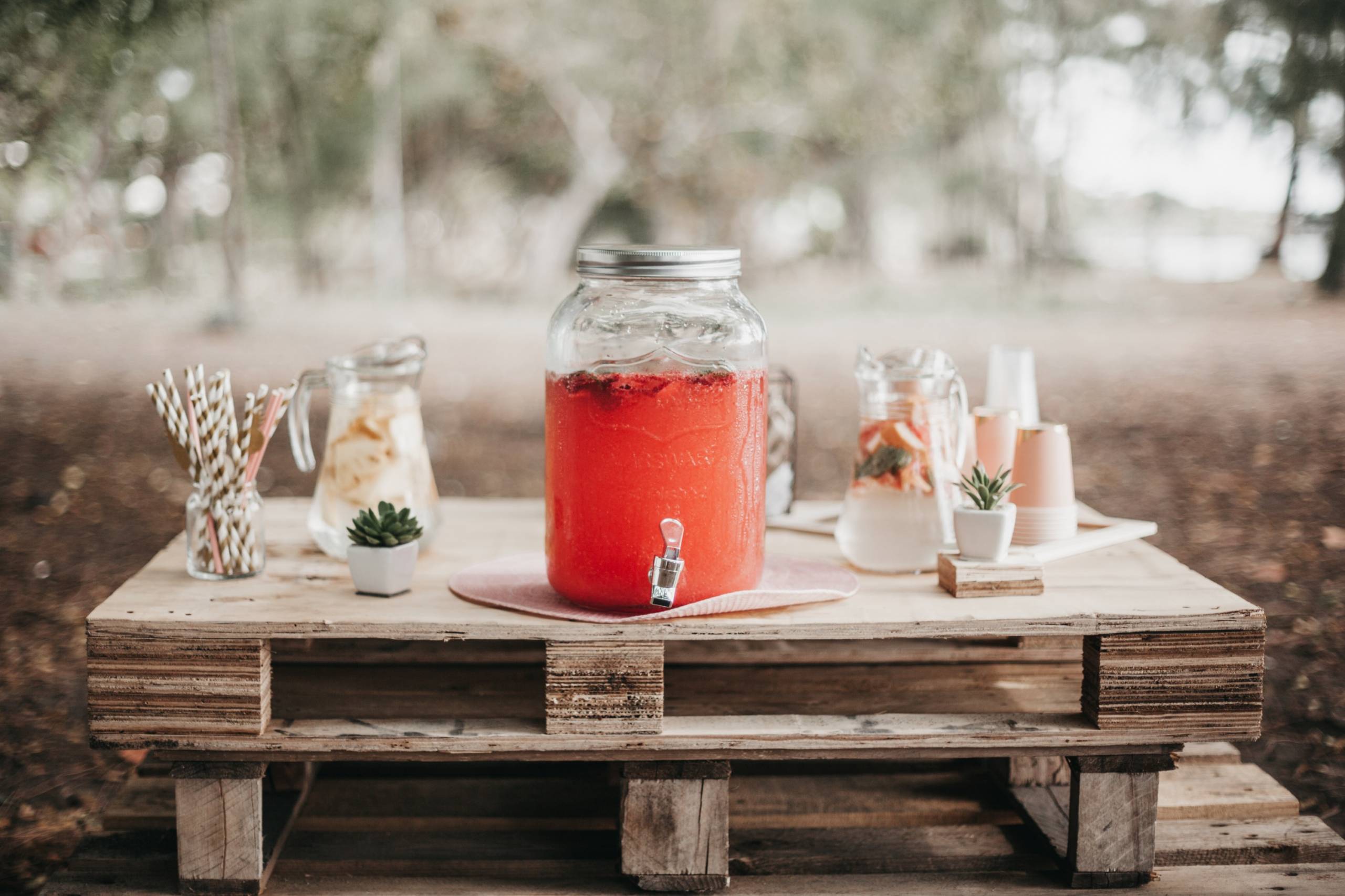 candice-picard-BqRWoyBi9CI-unsplash